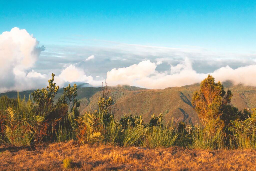 In den Bergen auf Madeira