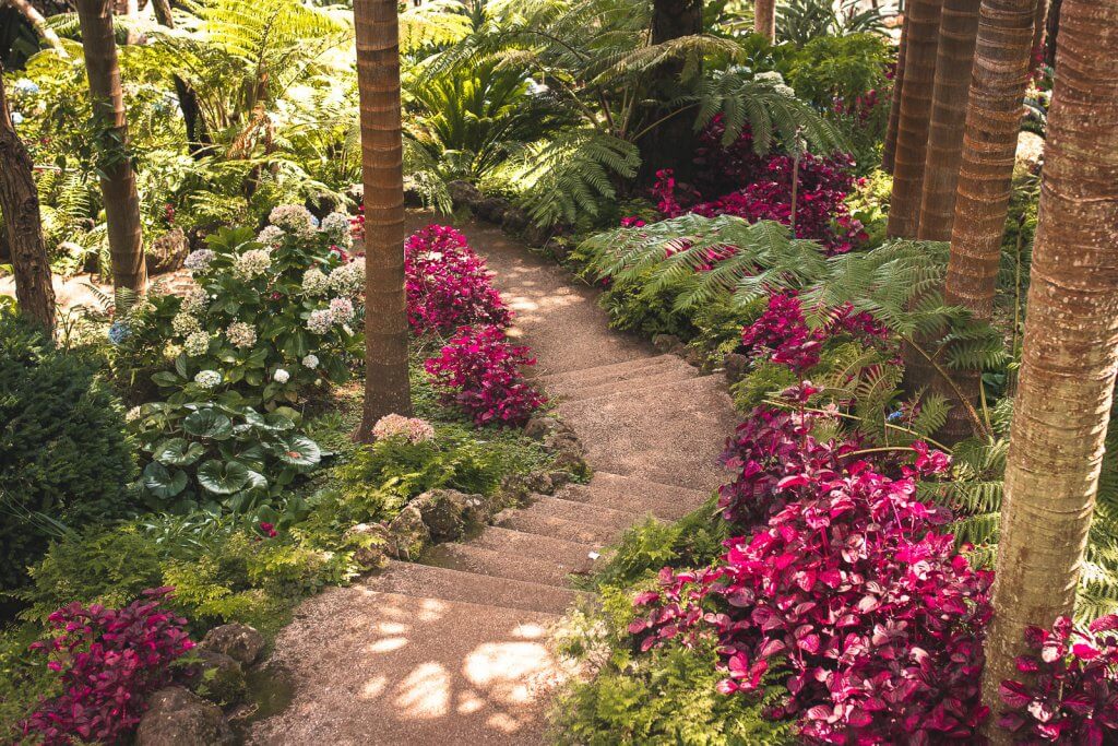 Pflanzenweg in Monte Palace in Funchal auf Madeira
