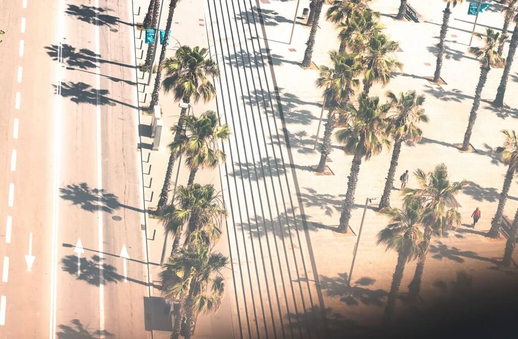 Straße mit Palmen in Barcelona