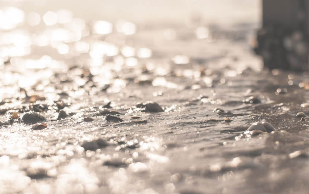 Wattenmeer in Buesum bei Ebbe