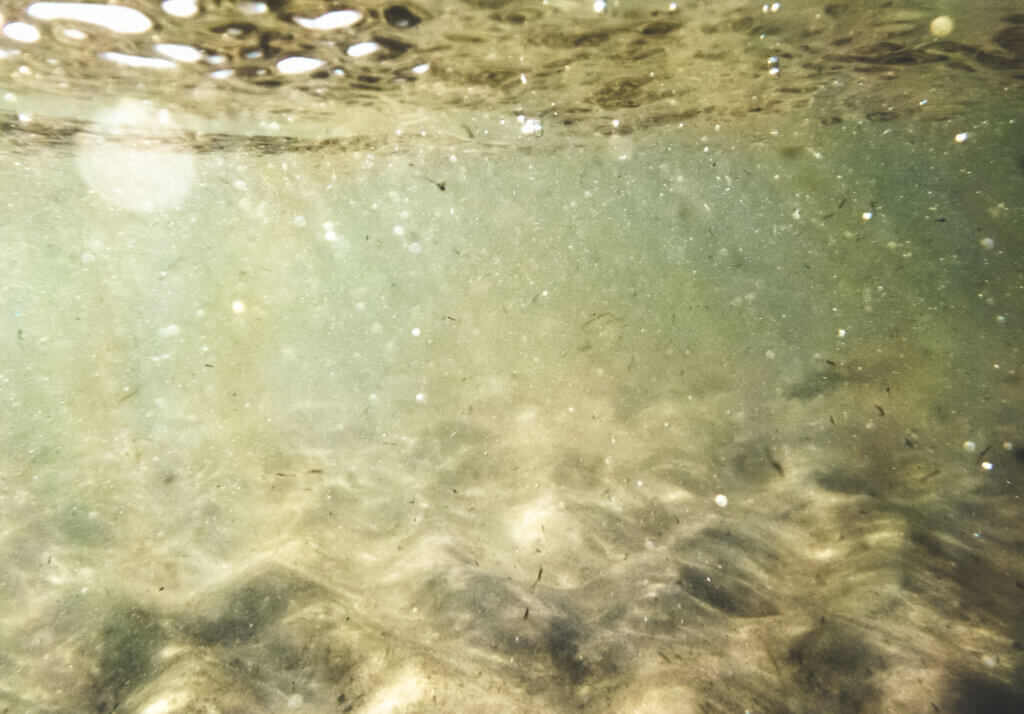 meer heiligenhafen ostsee
