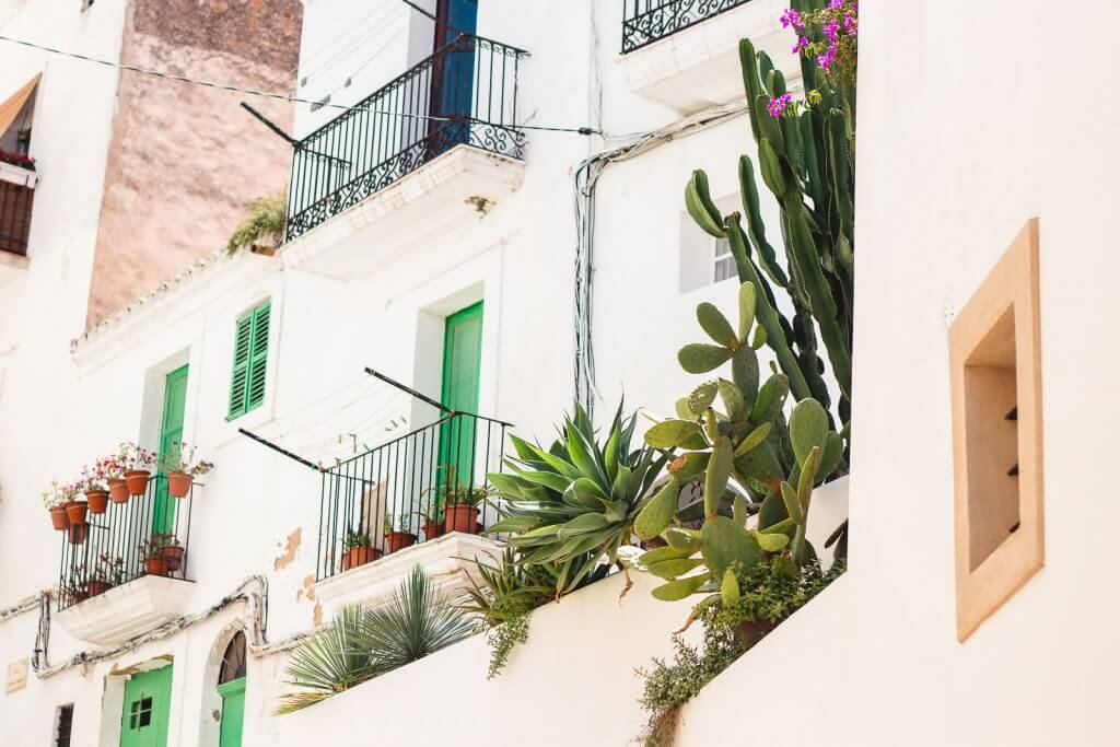 Hauswand mit Kakteen in der Altstadt von Ibiza