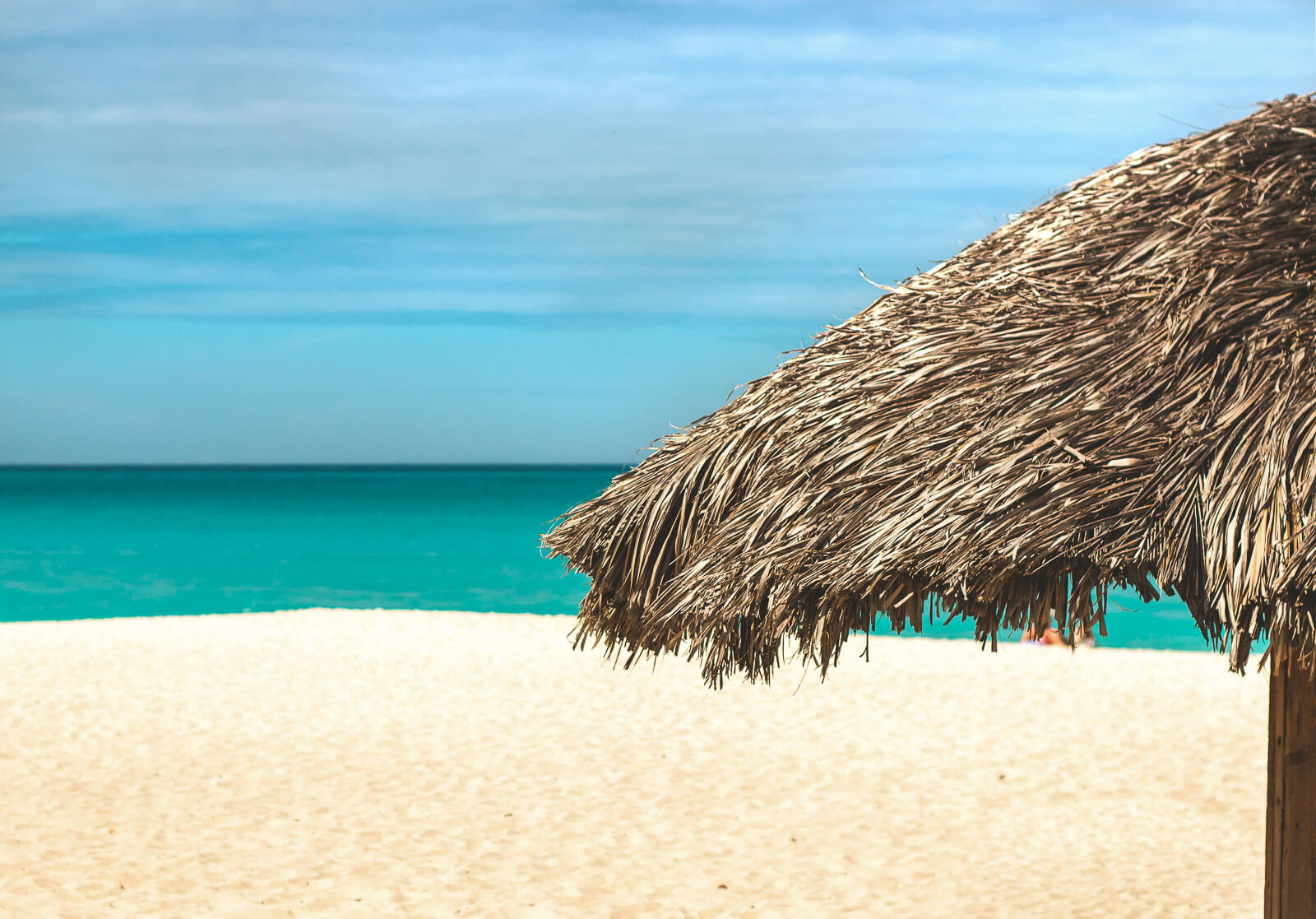 Eagle Beach auf Aruba in der Karibik