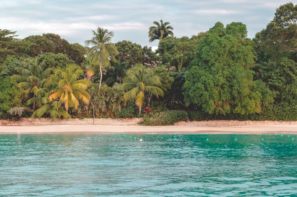 Strand auf Barbados in der Karibik