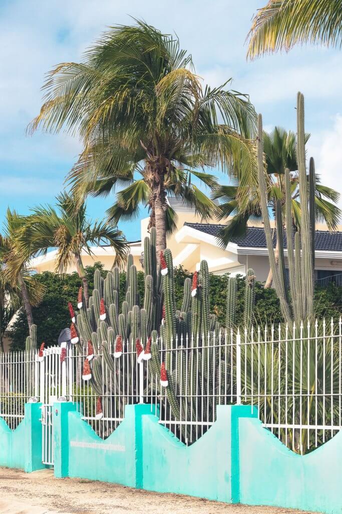 Weihnachtsdeko an Kakteen auf Bonaire in der Karibik