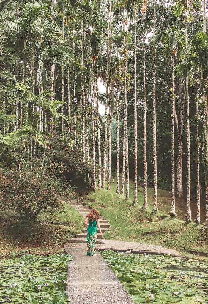Stefffa im Jardin de Balata auf Martinique