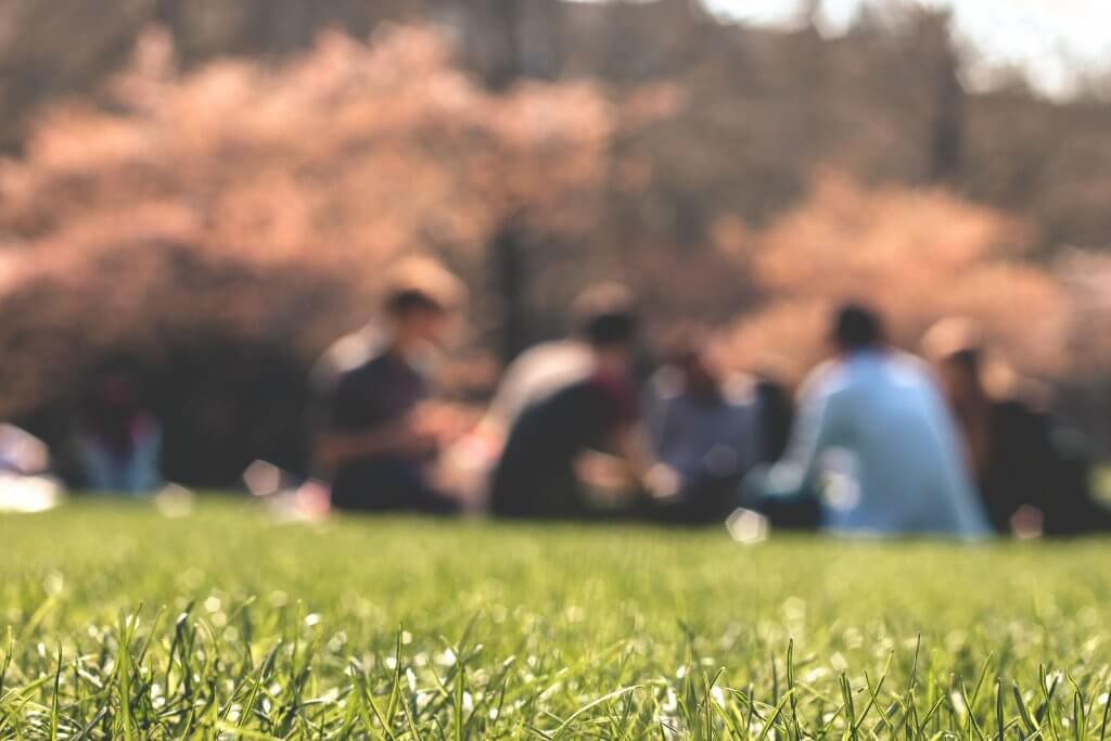 Frühling im Park in London