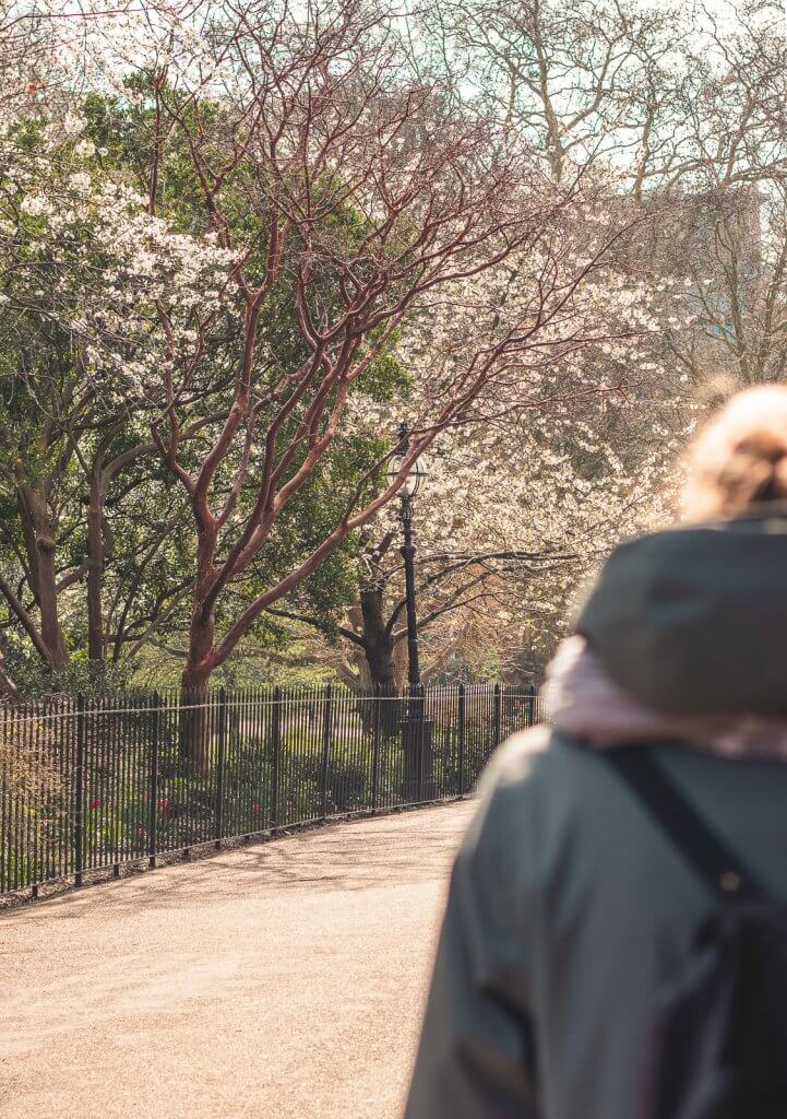 Frühling im Park in London