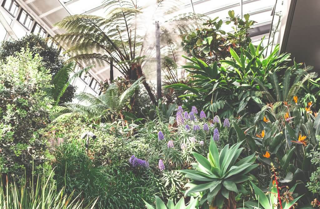Pflanzen im Skygarden London